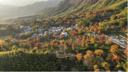 安徽黄山：全市首个自然保护地确权登记进入实质性实施阶段